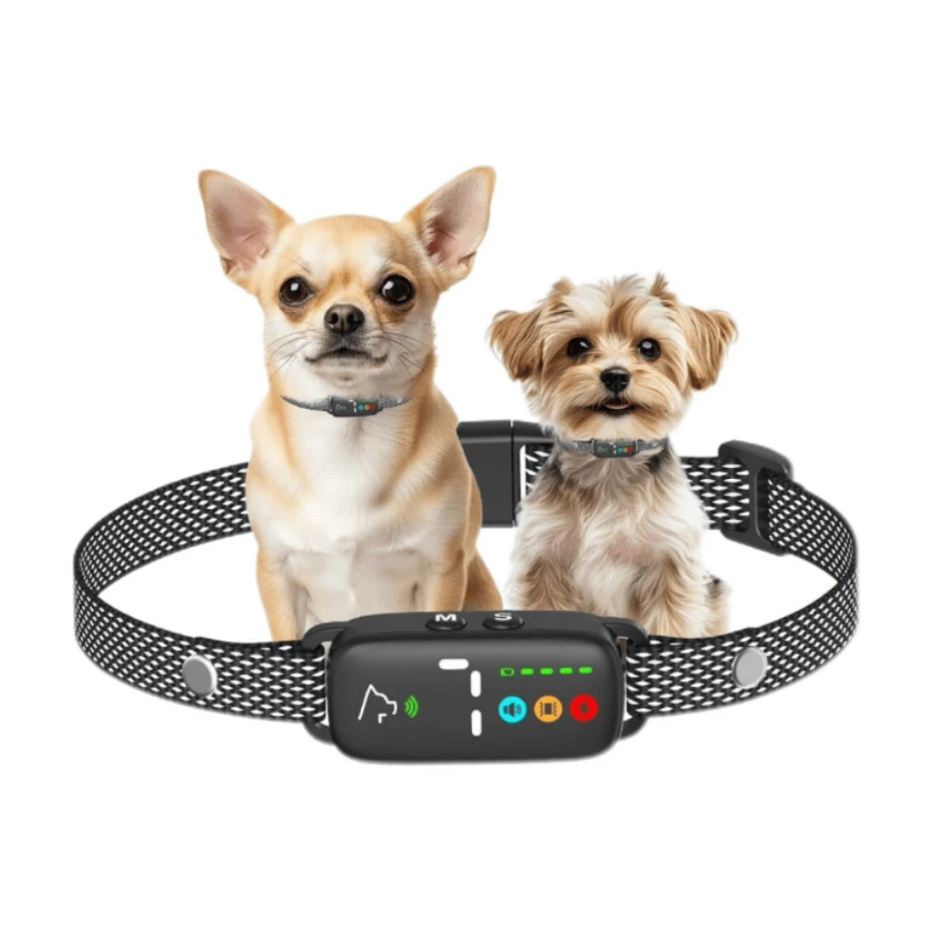 Dog Bark dab tshos
